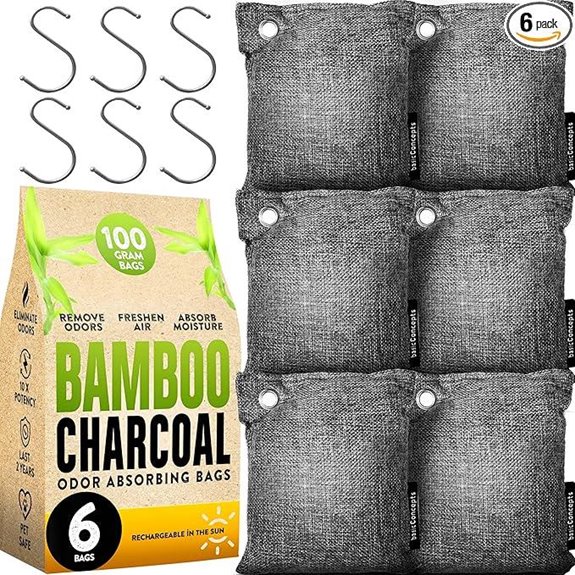 Charcoal Odor Absorber (6-Pack) Bamboo Purifying Bags