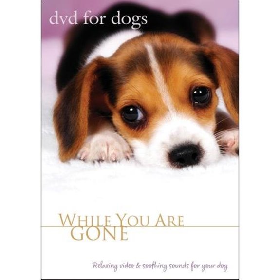 calming video for dogs