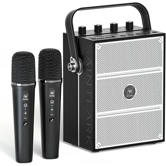 100W Voice Amplifier with 2 Wireless Mics