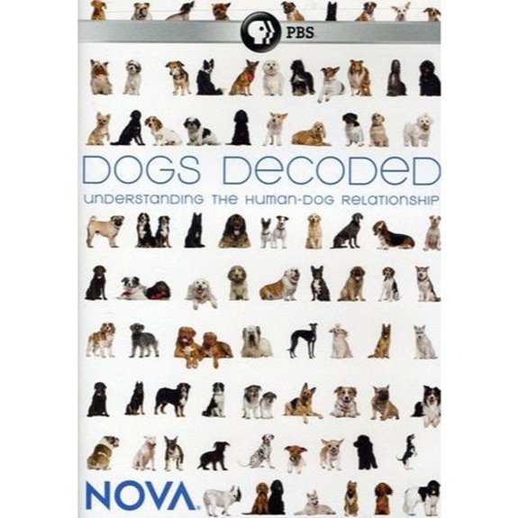 understanding canine behavior evolution