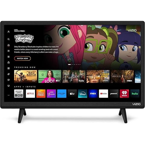 VIZIO 24-inch D-Series Smart TV
